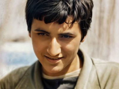 گالری تصویر 6