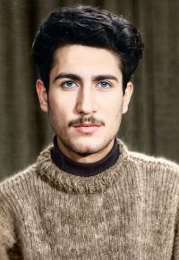 سیامک شه پرست