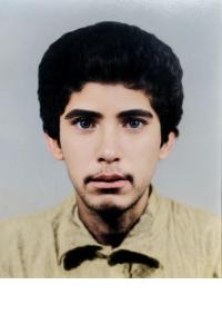 محمدحسین گل گشتی