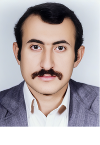 محمد فرزانه