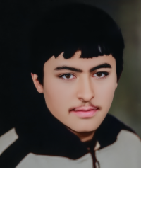 محمدباقر جعفریان تنگرودی