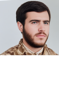 احمد پورزالفی کومنی