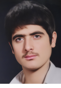 مهدی قاسمی گولک