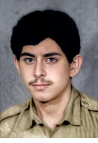 فریبرز مرادی