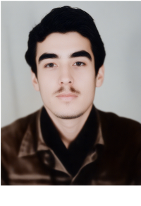 حبیب فریدشولمی