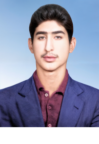 حسن حیدرپورگشتی