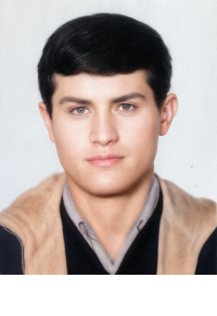 حبیب اله علی پورکارگشتی