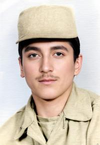 سیامک پورنصرالله شیرازی