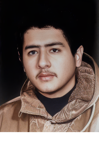 رضا امیریان