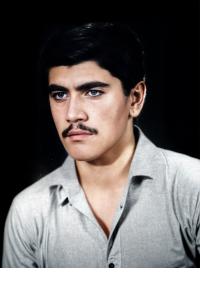 خلیل امیرخانی دهبنه