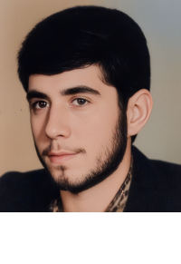 حسن همتی ناصری