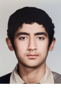 محمدتقی سلطان مرکباتی