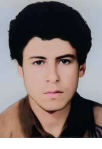 محمود سرچوپانی لیلی