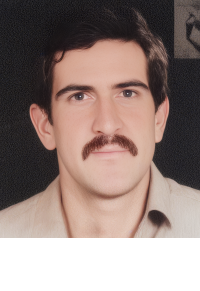 ایرج حبیبی دهبنه