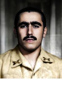 سیدمحمدرضا میربستانی