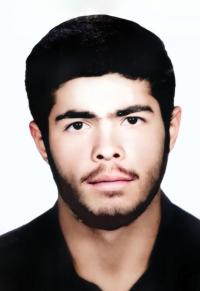 حجت اله وردی زاده دیزگاه