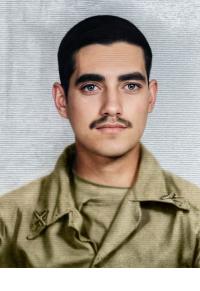 عطاکشی امیری