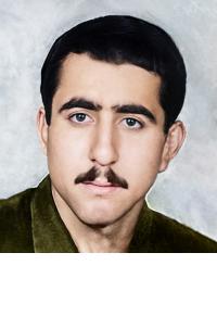 حسن نصیری امین آبادی