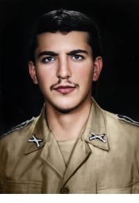 طالب نامی پلکوئی