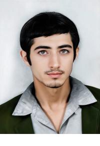 حجت نعمتی باغی