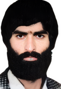 نقی صنایع پرکار